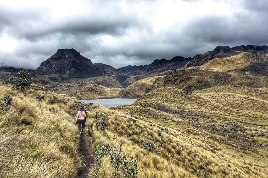 Ecuador Amazonia Yasuni Andes del Norte Costa Central Cuenca Equinoccial Loja - Vilcabamba Volcanes Cuenca