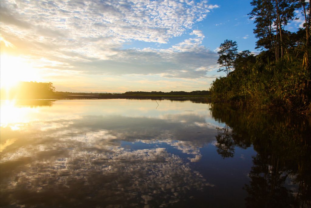 Camino Amazonico Caminos Andinos