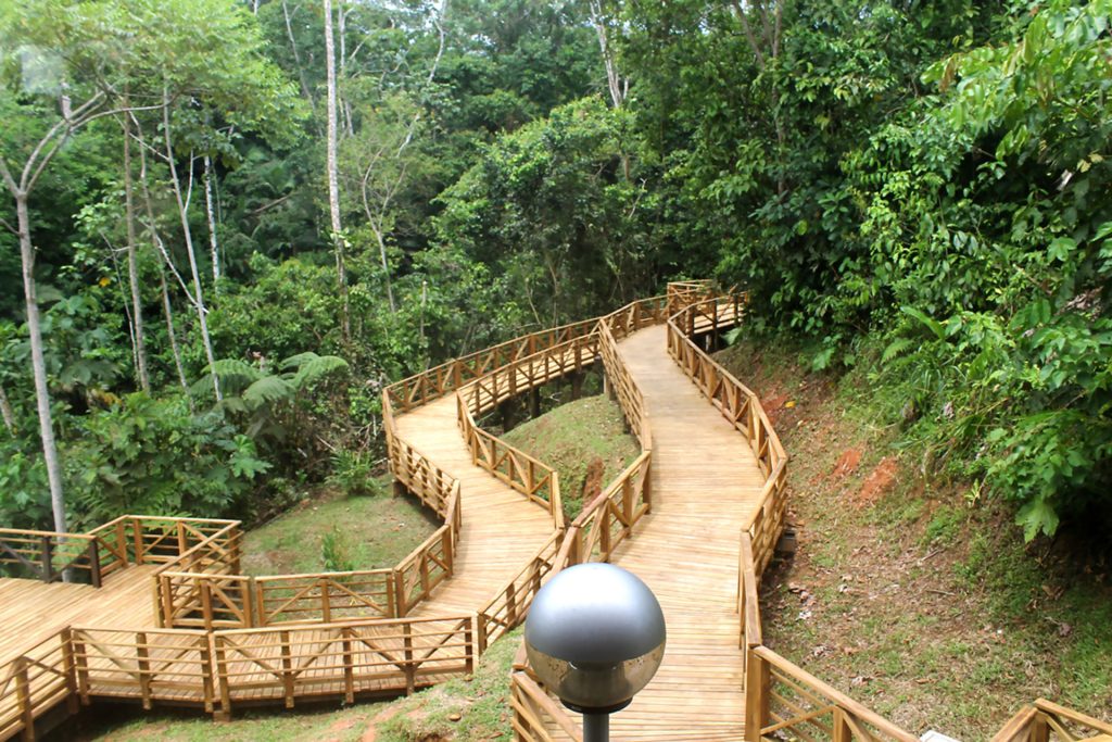 Camino Amazonico Caminos Andinos Sucumbios Ecuador