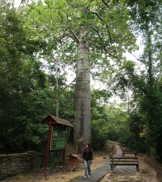 Bosque Petrificado de Puyango - Ministerio de Turismo del Ecuador