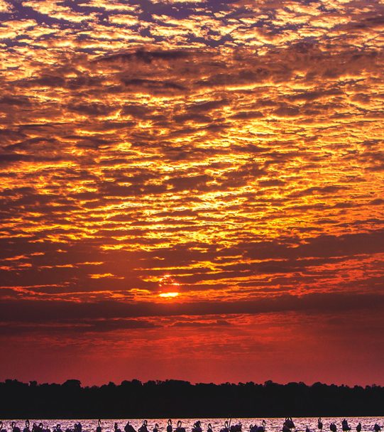La Guajira Caminos Andinos