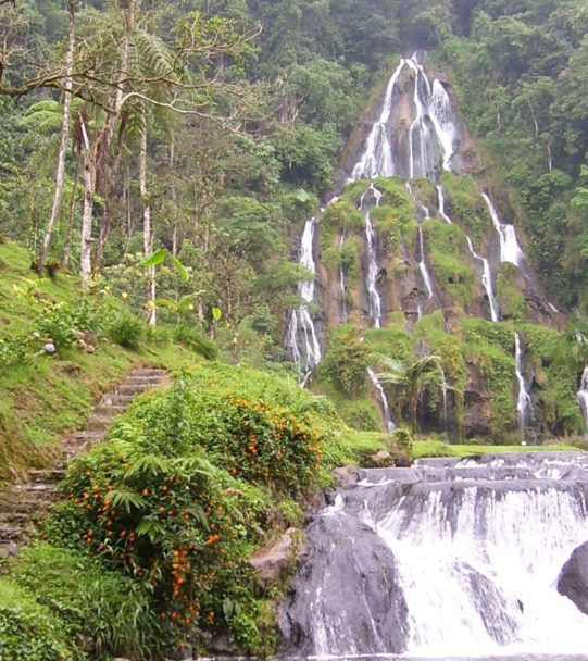 Risaralda Caminos Andinos