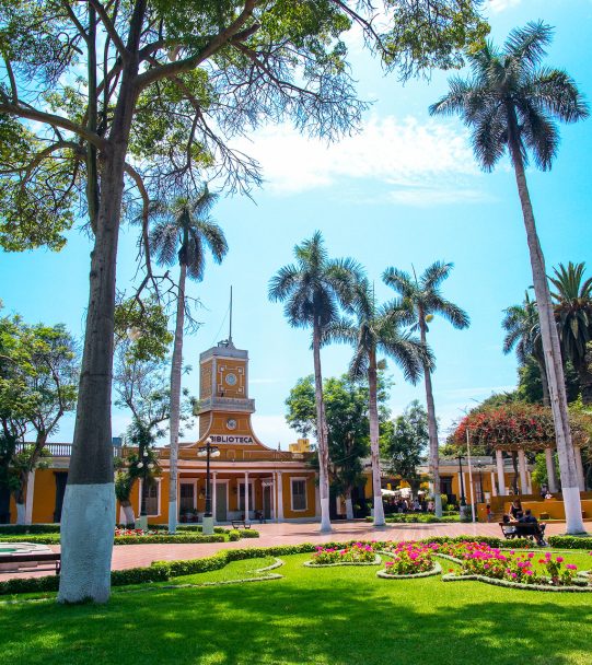 Lima Caminos Andinos